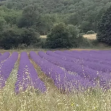 Gite L'abri Au Coeur Du Luberon *